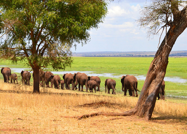 6-Day Wildlife & Cultural Safari